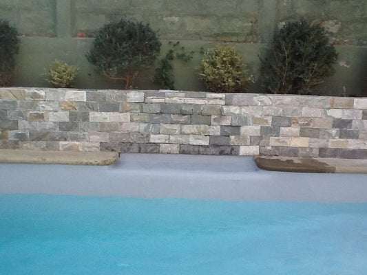 Piscina 6 x 3 La Dehesa