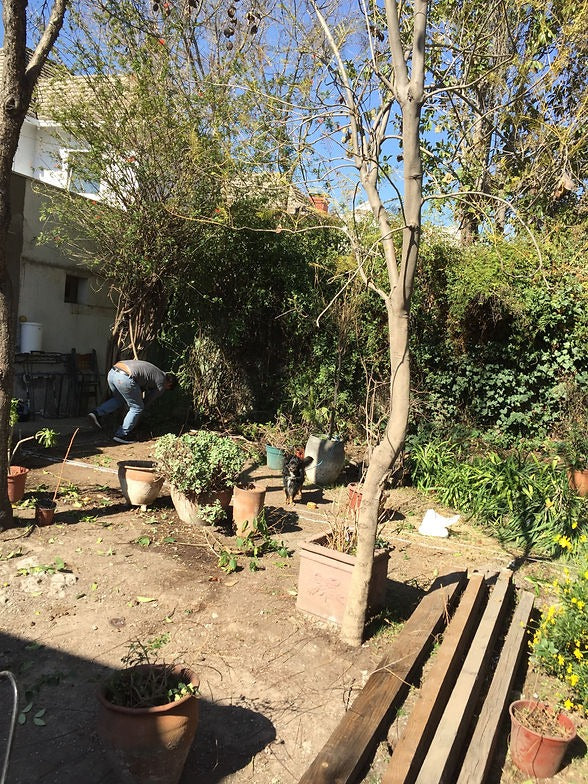 Piscina 6 x 3 Vitacura