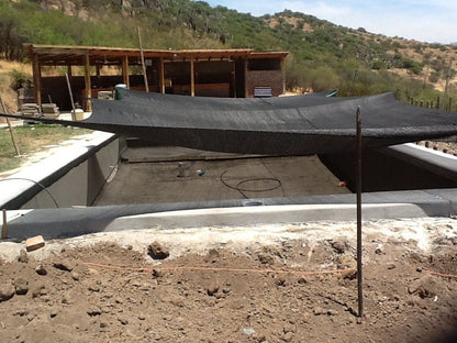 Piscina 10 x 5 Lo Herrera