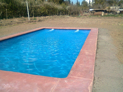 Piscina 8 x 4 Maipu