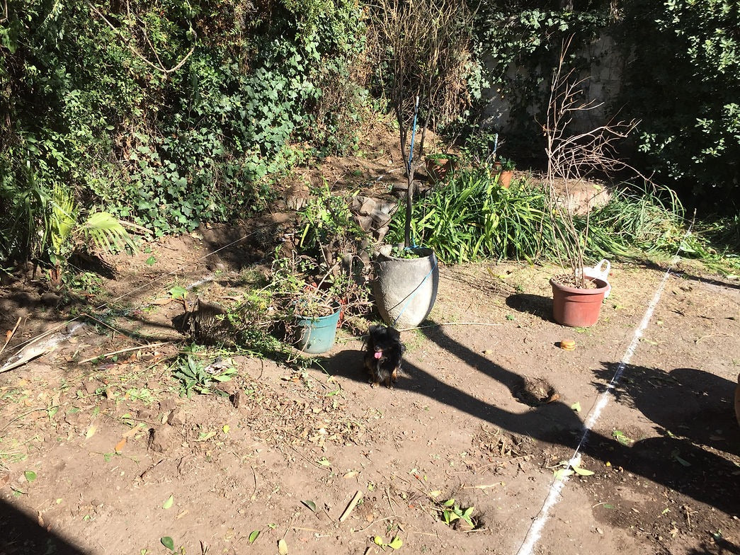 Piscina 6 x 3 Vitacura