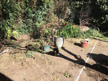 Piscina 6 x 3 Vitacura