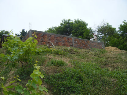 Piscina 7 x 3 Concepción
