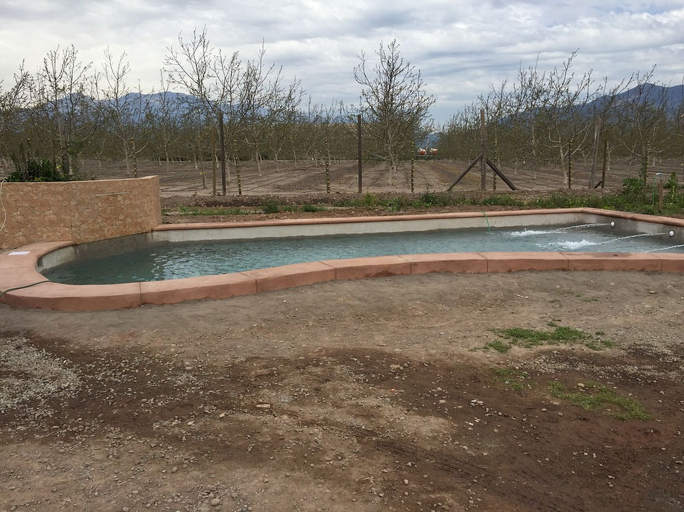 Piscina 10 x 5 Pirque