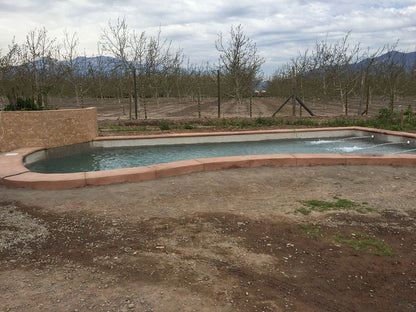 Piscina 10 x 5 Pirque