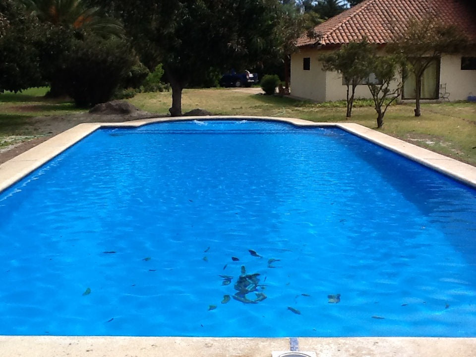 Piscina 12 x 6 Peñaflor