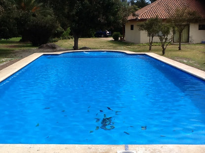 Piscina 12 x 6 Peñaflor