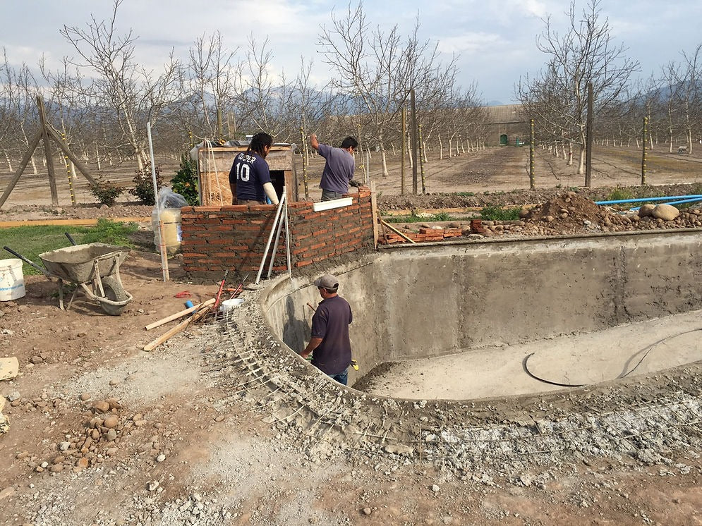 Piscina 10 x 5 Pirque